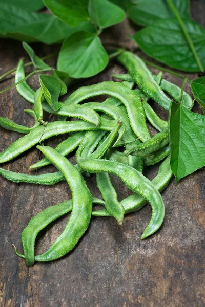 新鮮に収穫されたヒヤシンス豆は ブドウの葉を持ち 研究室の純度も高く コピースペースのあるソフトフォーカスの背景を持つインドの野菜であるパディ豆の風味としても知られています — ストック写真