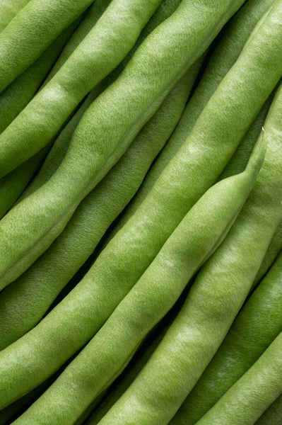 抽象的な背景 フランス豆 文字列豆やスナップ 完全なフレームで新鮮な収穫野菜の束としても知られています — ストック写真