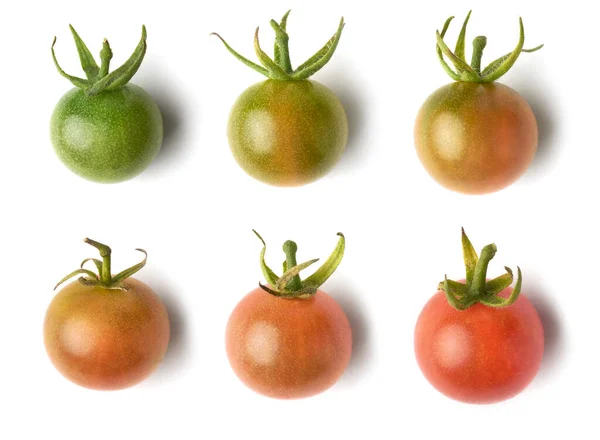 Pomidory Wiśniowe Niedojrzałe Dojrzałych Jagód Izolowane Białym Tle Widok Bliska — Zdjęcie stockowe