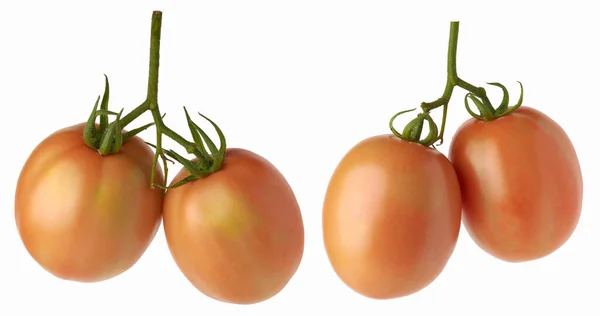 熟したトマトのセット 白い背景に隔離された食用果実 コレクション — ストック写真