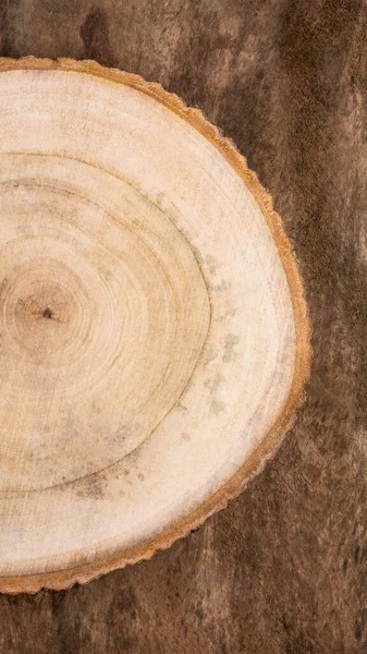 Querschnitt Durch Baumstammhintergrund Holzstruktur Tapete Oder Hintergrund Für Lebensmittel Oder — Stockfoto