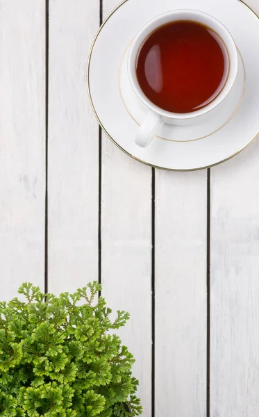Csésze Tea Zöld Növények Egy Fehér Asztalon Csendélet Koncepció Háttér — Stock Fotó