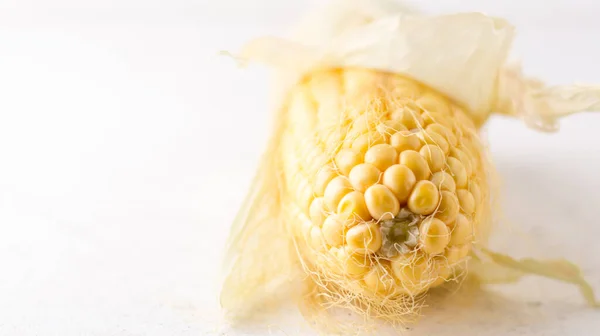 Closeup View Corn White Background Taken Shallow Depth Field Copy — Stock Photo, Image