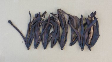 Kahverengi arka planda kurumuş ya da kurutulmuş çürük muz kabukları, yakın plan.