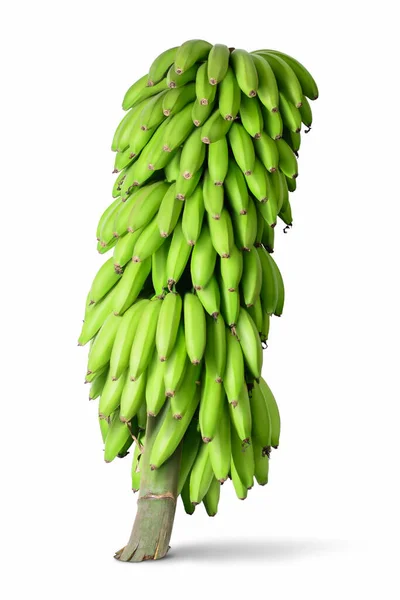 Bananowe Banany Białym Tle Niedojrzałe Owoce — Zdjęcie stockowe