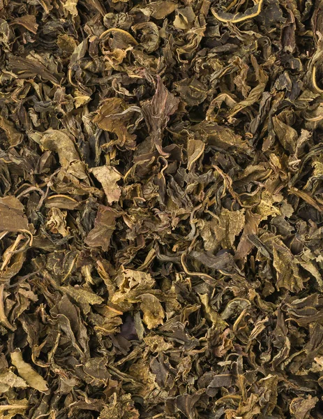 Folhas Chá Verde Secas Usadas Preparadas Para Ser Usado Como — Fotografia de Stock