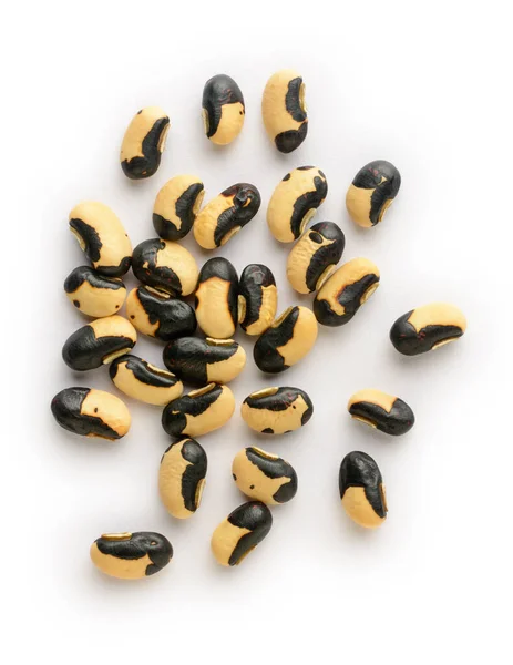 Vilda Bushbean Frön Även Känd Som Phasey Bean Isolerad Vit — Stockfoto