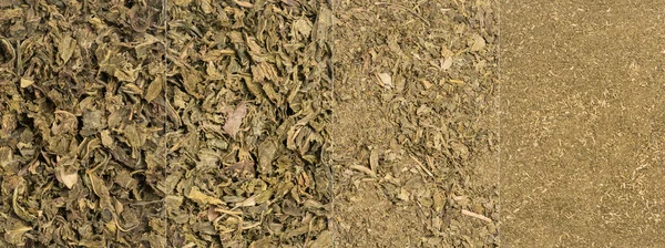 Collage Used Brewed Dried Green Tea Leaves Used Natural Organic — Stock Photo, Image