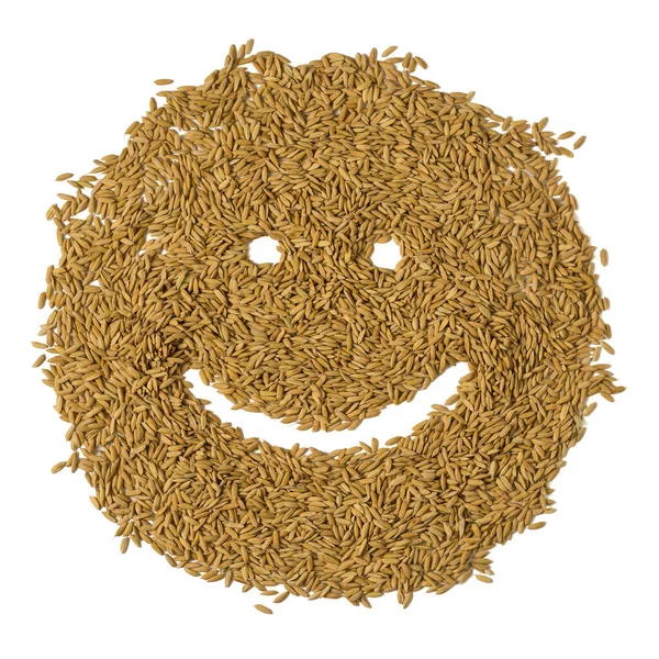 Glücklich Lächelndes Gesicht Auf Reis Reissamen Oder Braunem Reiskorn Gezeichnet — Stockfoto