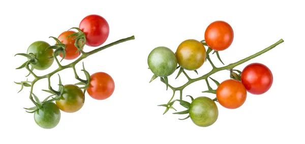 チェリートマトの束 緑の小さな丸いトマト 白い背景に緑色の茎が隔離されています — ストック写真