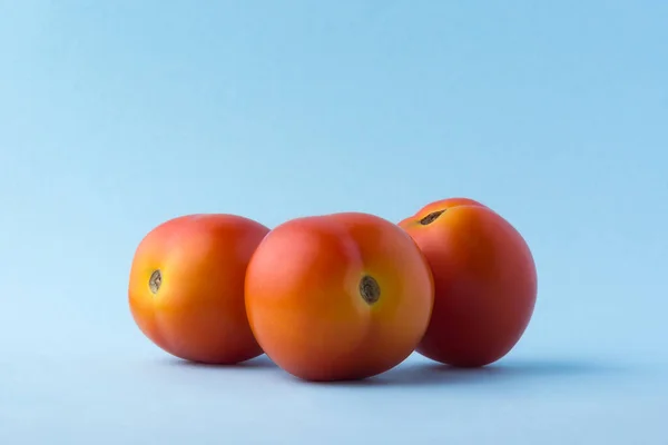 Tomaten Eetbare Bessen Geïsoleerd Lichtblauwe Achtergrond Close Blik Genomen Complementaire — Stockfoto