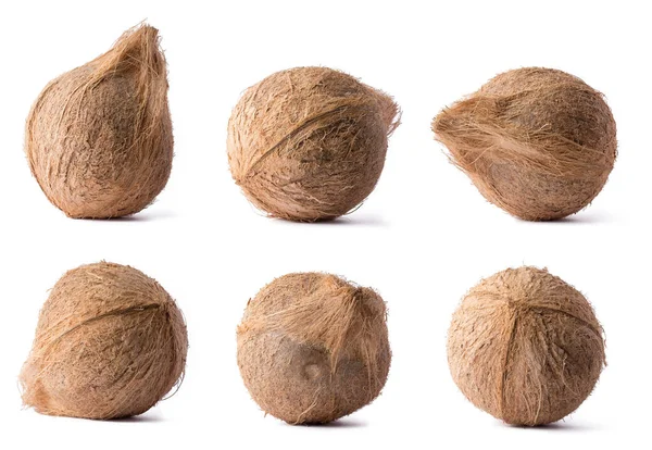 Kokosnöt Uppsättning Friska Tropiska Frukter Olika Vinklar Isolerade Vit Bakgrund — Stockfoto