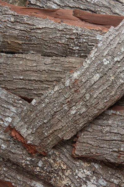 Haufen Der Äußersten Schicht Des Baumstammes Abstrakt Aus Rotbrauner Laubholzrinde — Stockfoto