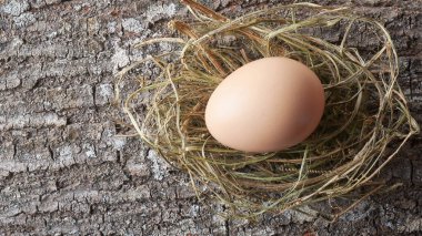 Kurutulmuş ot kabı yuvasına taze kahverengi yumurta yakın plan, fotokopi alanı ile doğal kaba desenli yüzey arka plan, sağlıklı organik gıda kavramı