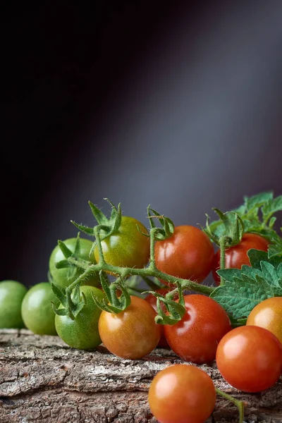 Bos Kerstomaten Getextureerd Oppervlak Populaire Variëteit Van Tomaat Die Grote — Stockfoto
