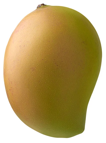 Primer Plano Mango Entero Sin Sombra Mangifera Indica Popular Fruta —  Fotos de Stock
