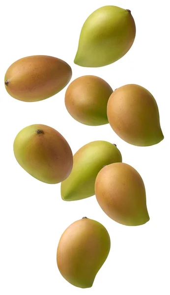 Mangas Isoladas Sobre Fundo Branco Mangifera Indica Fruta Tropical Popular — Fotografia de Stock