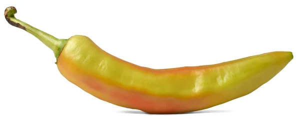 Närbild Bananpeppar Isolerad Vit Bakgrund Capsicum Annuum Populär Chilipeppar Som — Stockfoto