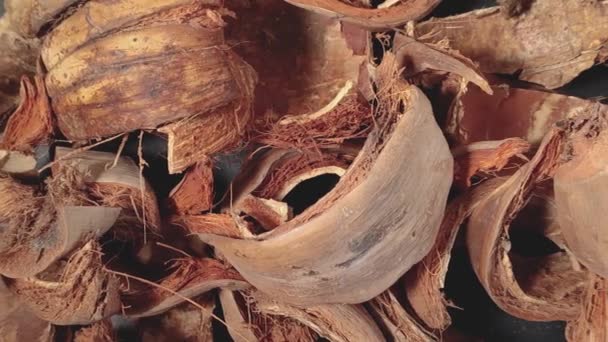 Nahaufnahme Getrockneter Kokosnussschalen Oder Kokos Kommerziell Wichtige Natürliche Faser Aus — Stockvideo