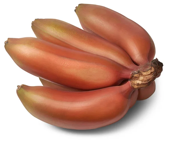 Färsk Röd Banan Musa Acuminata Aka Röd Dacca Spansk Eller — Stockfoto