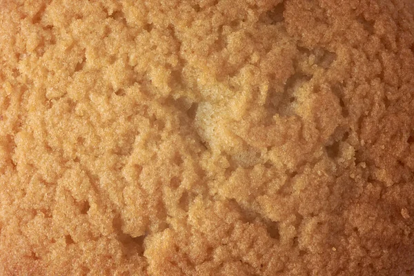 close-up of cake surface, golden brown top layer of sponge cake, cup or fairy cake or muffins, full frame texture, food background taken straight from above