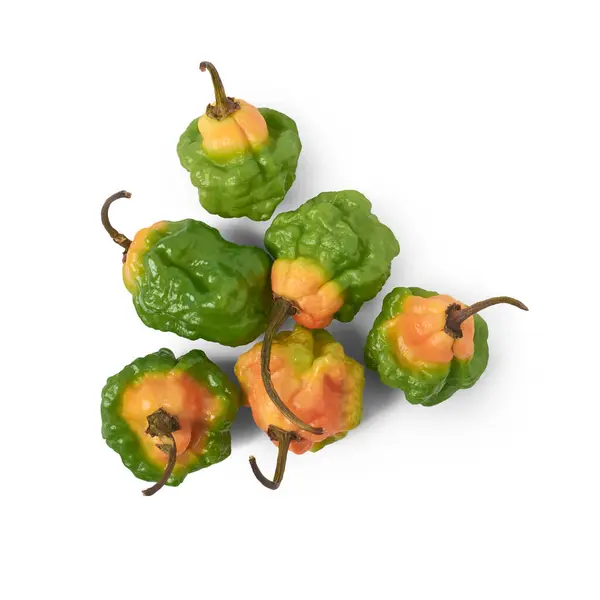 Σωρός Από Πολύχρωμες Καυτερές Πιπεριές Habanero Πιπεριές Capsicum Chinense Είδος — Φωτογραφία Αρχείου