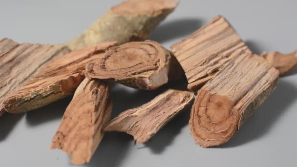 Κομμάτια Ξύλου Kothala Himbutu Φλοιού Βότανο Που Χρησιμοποιείται Ευρέως Στην — Αρχείο Βίντεο