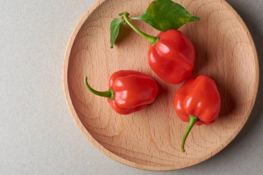 Tepside üç kırmızı habanero biberi, kapsicum chinense, buruşuk veya gamzeli en sıcak baharat yoğun baharat, fotokopi alanı ile mutfak malzemesi üst görünümü