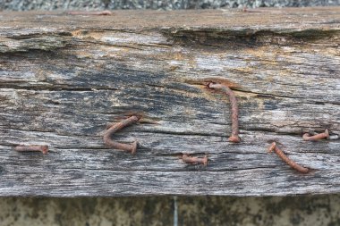 Eski paslı çivilerin kirli ahşap tahta üzerinde yakın plan, eskimiş demir ya da çelik çiviler nem ve oksitlenmeye maruz kalmış, fotokopi alanı ile düzleştirilmiş.