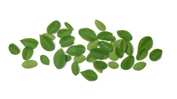 Yığınla süper gıda moringa ağacı, yüksek besleyici ve tıbbi özellikler için izole edilmiş beyaz arkaplan, but veya yabanturpu yaprakları bırakır.