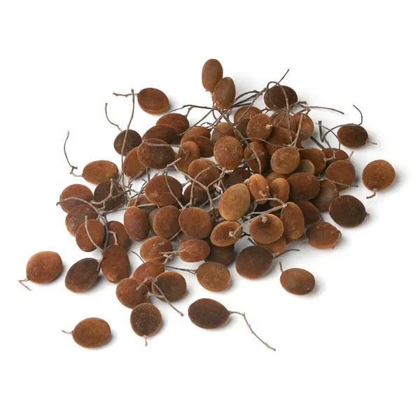 Stock image pile of pebble or velvet tamarind isolated white background, small dark brown to black velvet skinned fruits with sweet and tangy taste native to sri lanka also used in traditional medicine