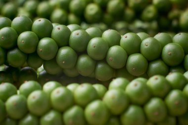 Olgunlaşan siyah biberlerin makro görüntüsü. Yumuşak odak noktasında biberli baharatlı taze bitkisel baharat.