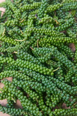 Güneş kurutmak için ekilmiş taze yeşil biber yığını. Geleneksel işleme metodu. Karabiber baharatına dönüşür.