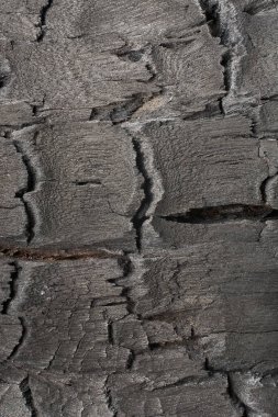 Yanmış ahşap dokunun yakın çekim makrosu, yanmış ahşabın siyah detaylı yüzeyi, çatlak kömür tabakası, dramatik soyut koyu madde yanan ateş.