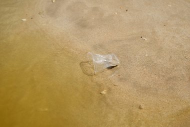 Çöpe atılmış plastik bardak, ziyaretçilerin geride bıraktığı kumsalda duruyor, kirlilik, doğa üzerindeki insan etkisi, çevre bilinci teması, fotokopi alanı ile yumuşak odak