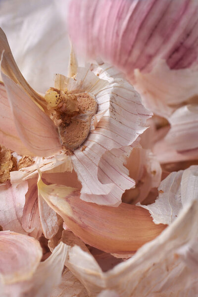 сухие чесночные пилинги и кожа рыжих корневищ в полной рамке фона, пищевые отходы или органические отходы приготовления пищи в крупном плане макромягкий вид, компостирование и концепция переработки кухни