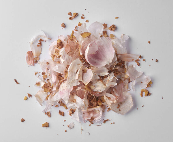 сухие чесночные пилинги и кожа рыжих корневищ изолированный белый фон, пищевые отходы или органические отходы приготовления пищи, компостирования и концепции переработки кухни