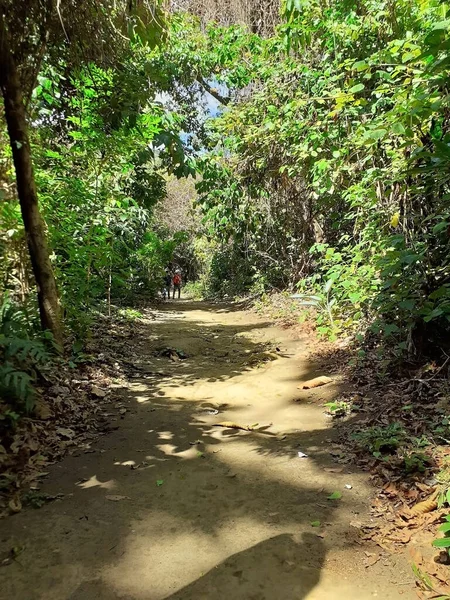 Tropik ormanlarda yol, Nikaragua.
