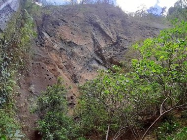 Tropikal ormanda kayalık dağ. 