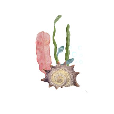 Sualtı okyanus canlılarının elle çizilmiş suluboya bileşimi beyaza izole edilmiş. Not defterleri, ambalaj kağıtları, balıkçılık, menü, rehberler, çıkartmalar, turizm, oda