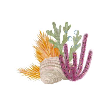 Sualtı deniz bitkilerinin elle çizilmiş suluboya bileşimi beyaza izole edilmiş. Not defterleri, balıkçılık, menü, rehberler, çıkartmalar, turizm, oda tasarımı için yüksek kalite denizcilik illüstrasyonu. 