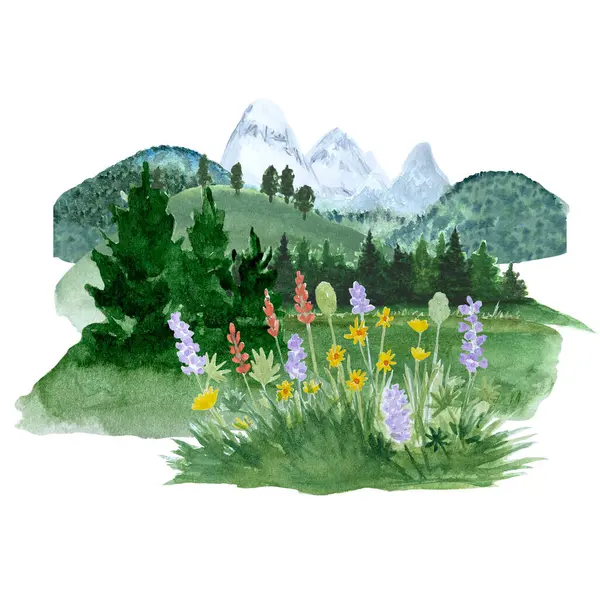 Watercolor hand painted landscape pine forest flowers hills and mountain peaks isolated on white. Nature landscape design. High quality illustration for cards, banners, advertisements and guides decor