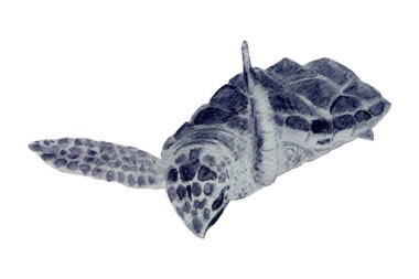 Yüksek kaliteli suluboya el yapımı deniz kaplumbağası beyazda izole edilmiş. Not defterleri, posterler, duvar kağıtları, çantalar, kartlar, eko, hediyelik eşya, oda dekorasyonu ve tasarımı için yüksek kaliteli monokromatik illüstrasyon.