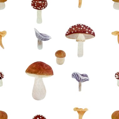 Porcini yaban mantarı sulu boya beyazı izole edilmiş. Ormanlık çocuk tasarımları, duvar kağıtları, yemek paketleri için basit düz stil vahşi yenilebilir orman bitkileriyle el yapımı yüksek kaliteli sanat eserleri..