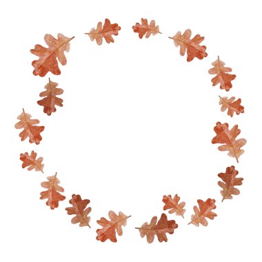 Bir meşe yaprağı, meşe palamudu bir elle beyaza izole edilmiş suluboya çerçeve boyadı. Vahşi orman bitkisiyle kaliteli çizimler. Orman çocukları için basit düz stil tasarımlar, kartlar, tekstil paketleri..