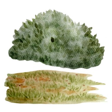 Yeşil çalılık arazi suluboya seti beyaza izole edilmiş. Vahşi orman bitkisiyle el çizimi yüksek kaliteli sanat. Orman çocukları için arka planlar, tasarımlar, kartlar, posterler.