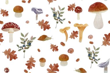 Orman mantarı ve yapraklar sulu boya deseni beyaza izole edilmiş. El yapımı yüksek kaliteli sanat eseri. Vahşi orman bitkileri, orman çocukları için basit düz stil tasarımlar, duvar kağıtları ve yiyecek paketleri..