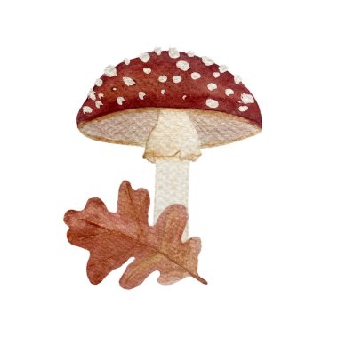 Uçan yaban mantarı ve beyaz üzerine izole edilmiş meşe yaprağı suluboya bileşimi. Çocuk ürünleri, kartlar, paketler, etiket, çanta, logo tasarımı için klip sanatı.