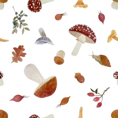 Porcini yaban mantarı sulu boya beyazı izole edilmiş. Ormanlık çocuk tasarımları, duvar kağıtları, yemek paketleri için basit düz stil vahşi yenilebilir orman bitkileriyle el yapımı yüksek kaliteli sanat eserleri..