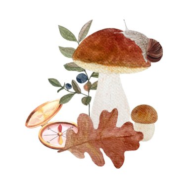 Pusula yaban mersinli porcini mantarlı suluboya kompozisyonu beyaza izole edilmiş. Ormanlık çocuk tasarımları, tekstil, iç dekorasyon, çıkartmalar ve turizm için düz stil el çizimi yüksek kaliteli sanat eserleri.